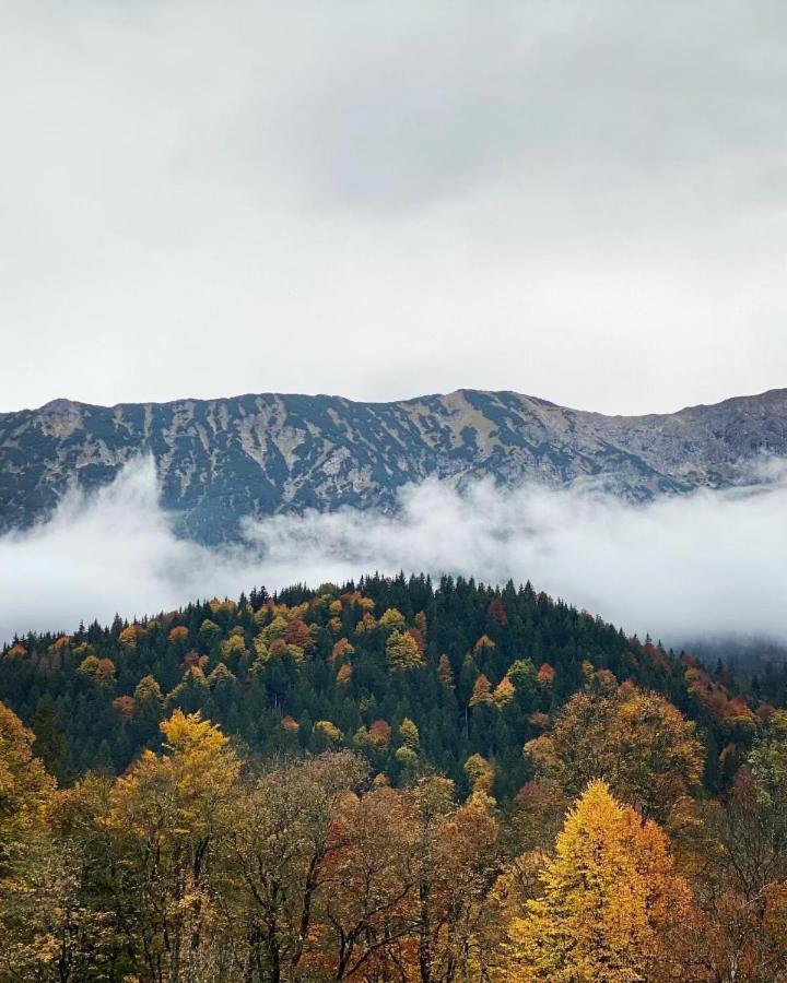 Haus Tirol Ehrwald Hotell Exteriör bild